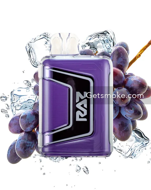 Raz Grape Ice Vape TN9000