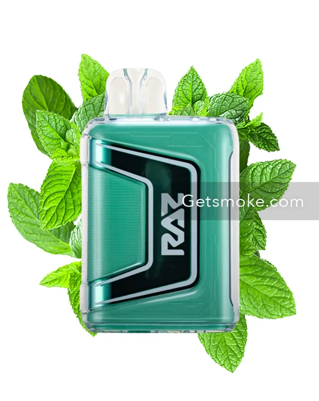 Miami Mint - Geek Vape Raz TN9000