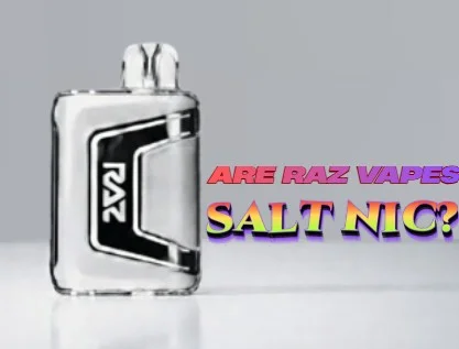 Image for Are Raz Vapes Salt Nic
