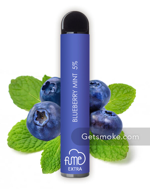 Blueberry Mint Fume Extra Vape