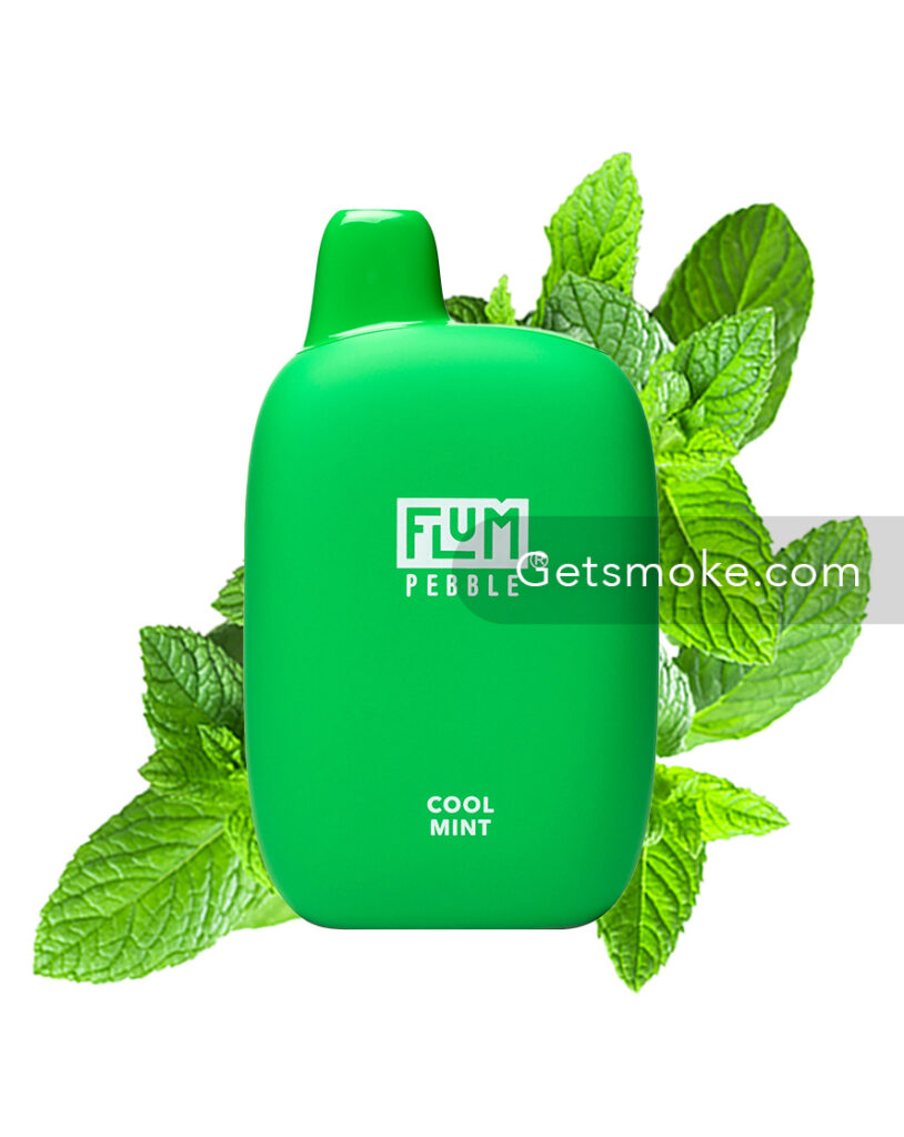 Cool Mint Flum Float Flum Pebble 6000 Cool Mint Flum Disposable Vape - .99 