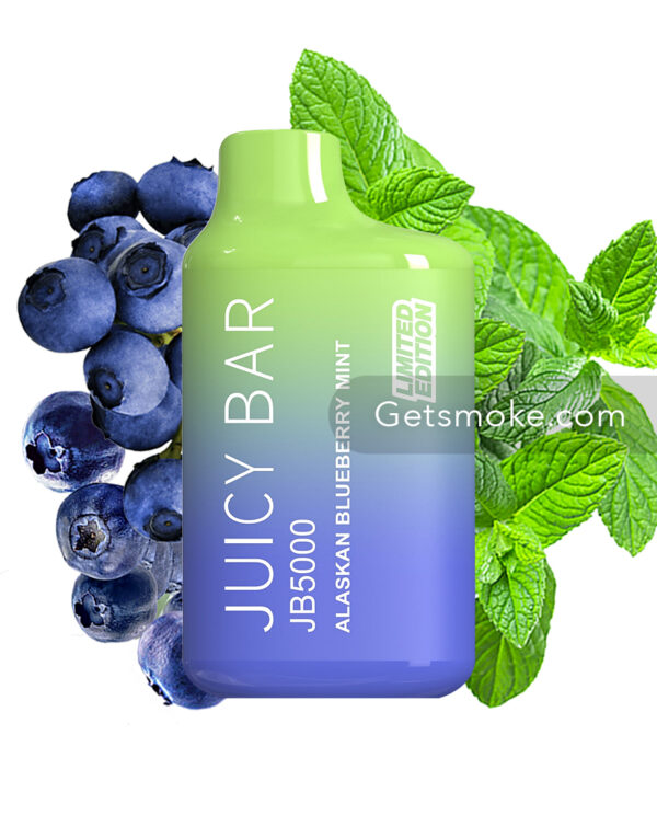 Blueberry Mint Juicy Bar JB5000