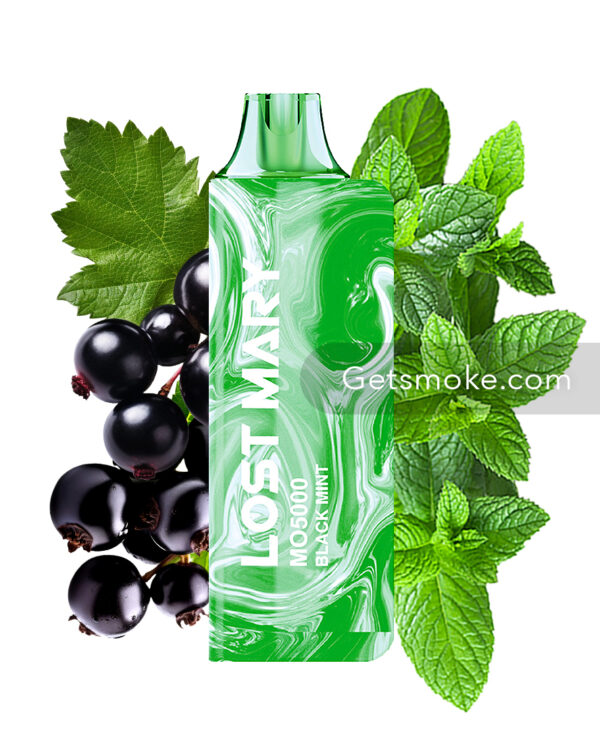 Blackcurrant Mint Lost Mary MO5000 Disposable Vape