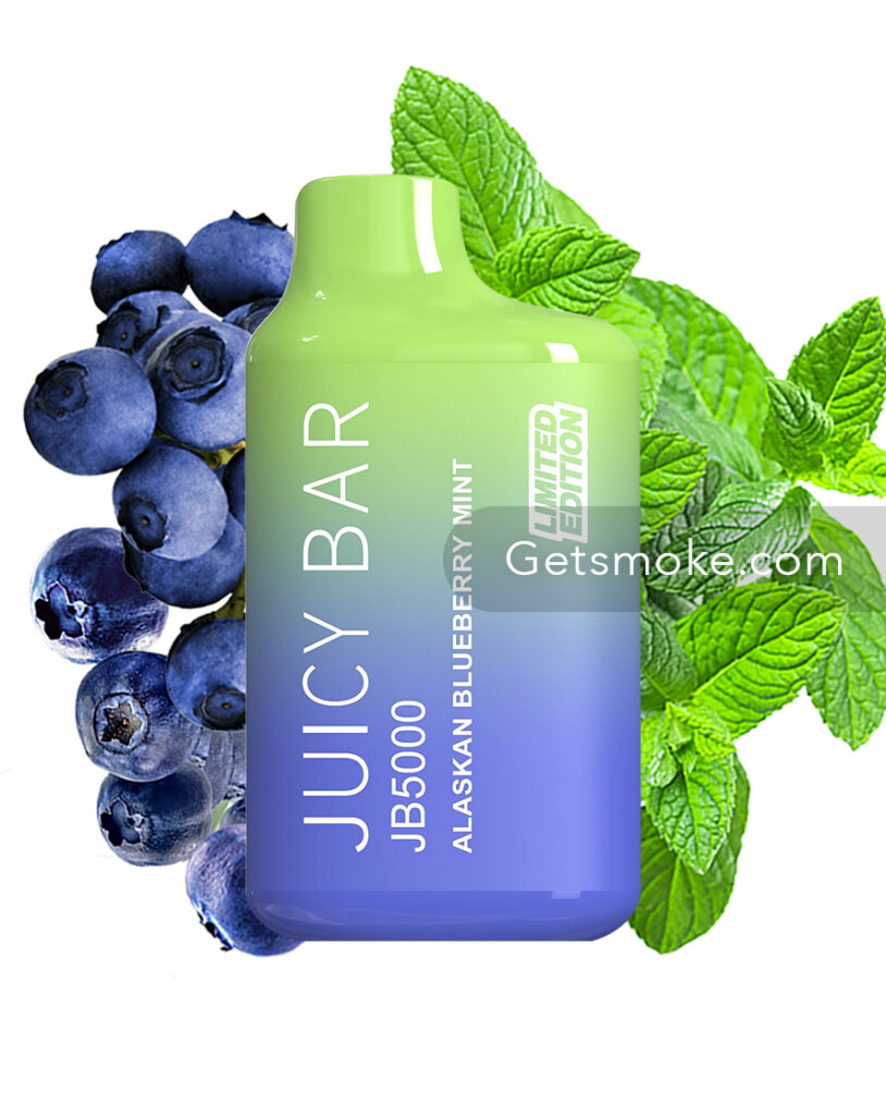 Alaskan Blueberry Mint – Juicy Bar JB5000